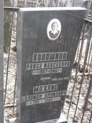 Махлис Соломон Наумович, Москва, Востряковское кладбище
