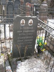 Головчинер Софья Ефимовна, Москва, Востряковское кладбище