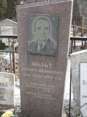 Мольт Леонид Исаакович, Москва, Востряковское кладбище
