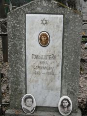 Гольдштейн Нина Самуиловна, Москва, Востряковское кладбище