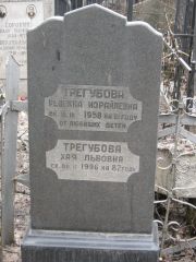 Трегубова Ревекка Израйлевна, Москва, Востряковское кладбище