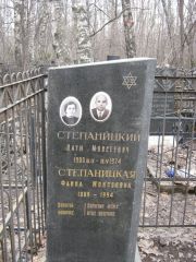 Степаницкий Наум Моисеевич, Москва, Востряковское кладбище