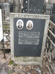 Троупянский Яков Соломонович, Москва, Востряковское кладбище