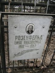 Розенфельд Цива Михайловна, Москва, Востряковское кладбище