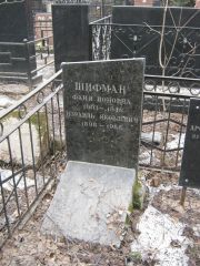 Шифман Фаня Ионовна, Москва, Востряковское кладбище