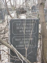 Мерин Илья Давидович, Москва, Востряковское кладбище