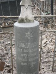 Гольденберг Лея Матвеевна, Москва, Востряковское кладбище