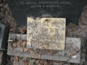 Зингер Софья Моисеевна, Москва, Востряковское кладбище