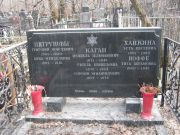 Иоффе Гита Абрамовна, Москва, Востряковское кладбище