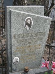 Ярмолинский Моисей Борисович, Москва, Востряковское кладбище
