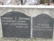 Каменев Яков Моисеевич, Москва, Востряковское кладбище