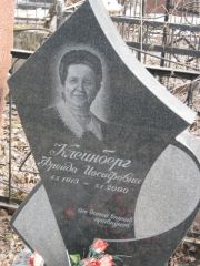 Клейнберг Фрейда Иосифовна, Москва, Востряковское кладбище