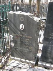 Эрлих Меер Герш-Лейбович, Москва, Востряковское кладбище