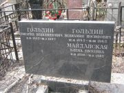 Гольдин Вениамин Иосифович, Москва, Востряковское кладбище