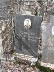 Зельцер Яков Владимирович, Москва, Востряковское кладбище