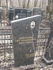 Шапиро Лея Моисеевна, Москва, Востряковское кладбище