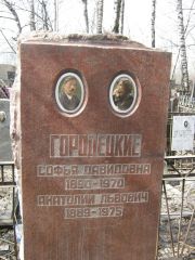Городецкий Анатолий Львович, Москва, Востряковское кладбище