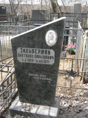 Зильберман Анатолий Давыдович, Москва, Востряковское кладбище