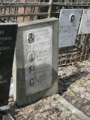 Левитина Хана Абрамовна, Москва, Востряковское кладбище
