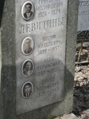 Левитин Давид Иосифович, Москва, Востряковское кладбище