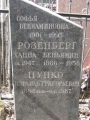 Розенберг Софья Вениаминовна, Москва, Востряковское кладбище