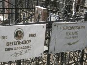 Герцовский Вадик , Москва, Востряковское кладбище