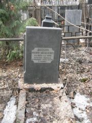 Двосин Иосиф Менделевич, Москва, Востряковское кладбище