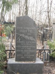 Фляте Наум Максимович, Москва, Востряковское кладбище