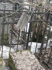 Манусова Р. Б., Москва, Востряковское кладбище