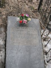 Владимиров Пинхус Львович, Москва, Востряковское кладбище