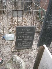 Коган Соломон Самуиловна, Москва, Востряковское кладбище