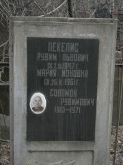 Пекелис Рувим Львович, Москва, Востряковское кладбище