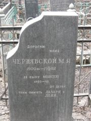 Чернявский Моисей , Москва, Востряковское кладбище