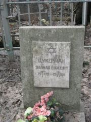 Цукерман Залман Евсеевич, Москва, Востряковское кладбище