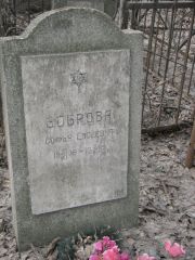 Боброва Софья Евсеевна, Москва, Востряковское кладбище