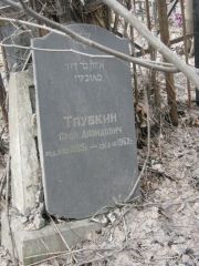 Таубкин Арон Давидович, Москва, Востряковское кладбище