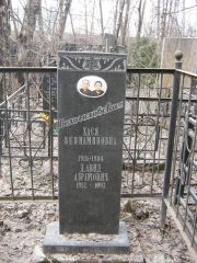 Белоголовский Давид Абрамович, Москва, Востряковское кладбище