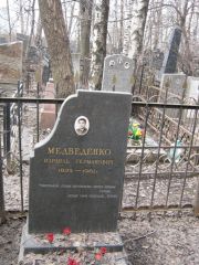 Медведенко Израиль Германович, Москва, Востряковское кладбище