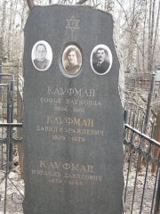 Кауфман Софья Наумовна, Москва, Востряковское кладбище