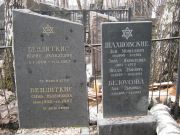 Шахновская Дора Яковлевна, Москва, Востряковское кладбище