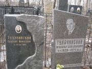 Тукачинский Савелий Моисеевич, Москва, Востряковское кладбище