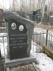 Фрадкин Ефим Осипович, Москва, Востряковское кладбище