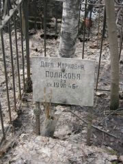Полякова Дора Марковна, Москва, Востряковское кладбище