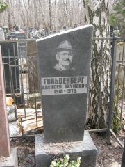Гольденберг Алексей Наумович, Москва, Востряковское кладбище