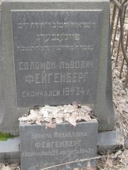 Фейгенберг Соломон Львович, Москва, Востряковское кладбище