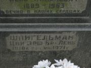 Шпигельман Цви Эрш-Бр-Лейб, Москва, Востряковское кладбище