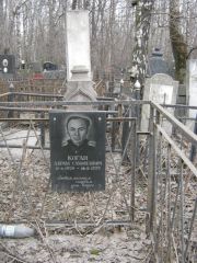 Коган Абрам Самойлович, Москва, Востряковское кладбище