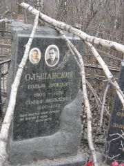 Ольшанский Вольф Липович, Москва, Востряковское кладбище