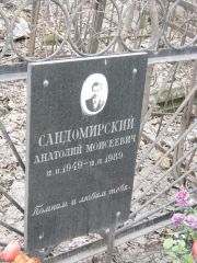 Сандомирский Анатолий Моисеевич, Москва, Востряковское кладбище