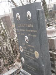 Цирлина Бейля Абрамовна, Москва, Востряковское кладбище